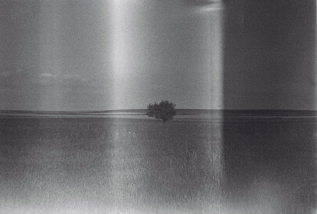 after filmi ve gencler arasindaki etkisi trendleri nasil belirliyor