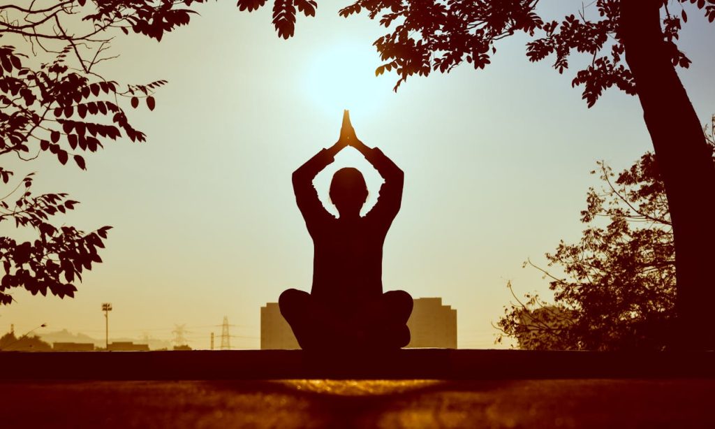 Glamping, Doğa İnzivası, Wellness İnzivası ve Yoga İnzivası Hakkında Genel Bilgiler farmchusaq4